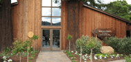 Preferred Limousine & Sequoia Grove